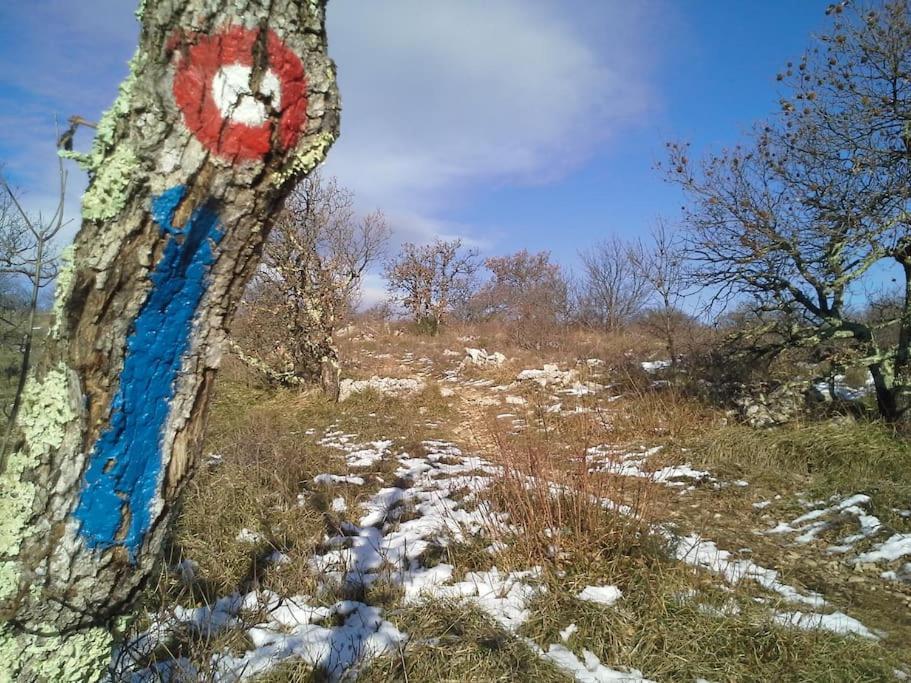 Вилла Istrian Experience Socerga Экстерьер фото